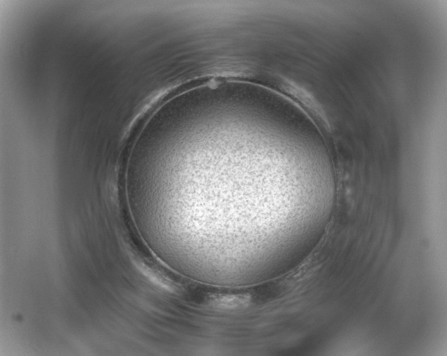 X0000065960155200603061159