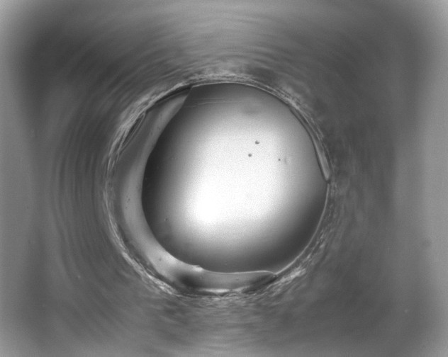 X0000065960193200603061159
