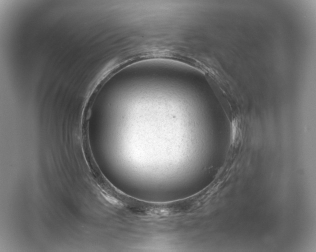 X0000065960195200603061159
