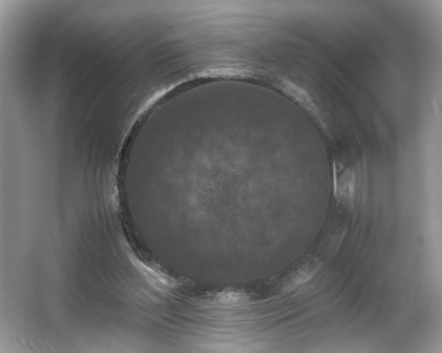 X0000065960204200603061159