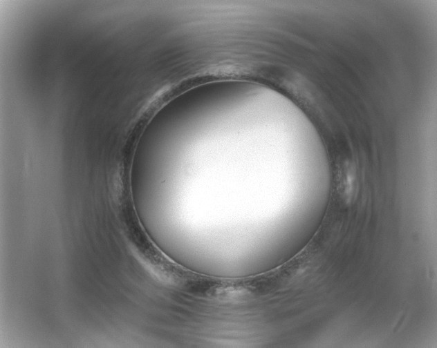 X0000065960208200603061159