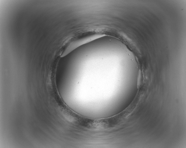 X0000065960209200603061159
