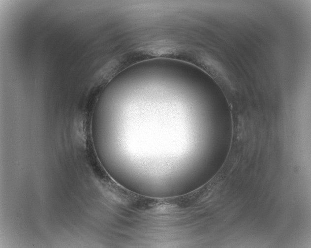 X0000065960210200603061159