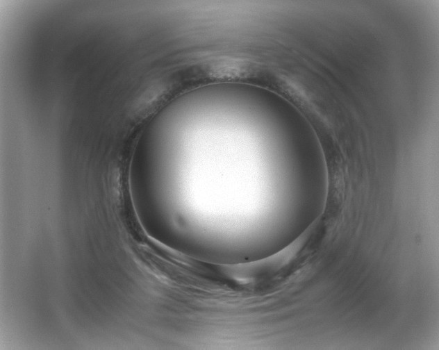 X0000065960211200603061159