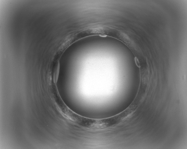 X0000065960213200603061159