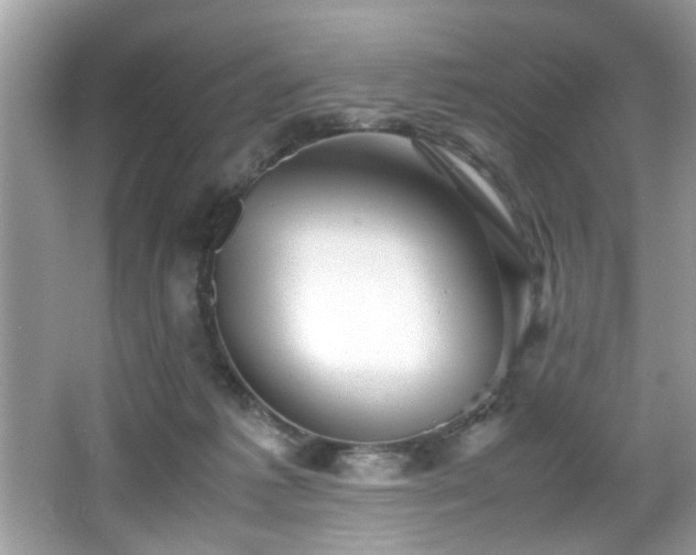 X0000065960221200603061159