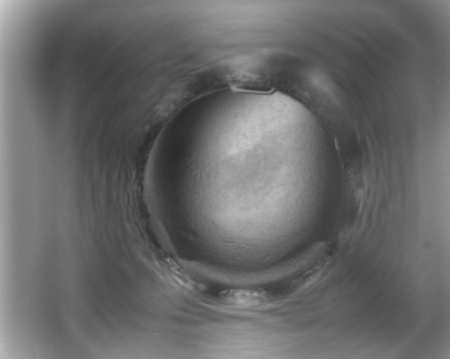 X0000065960223200603061159
