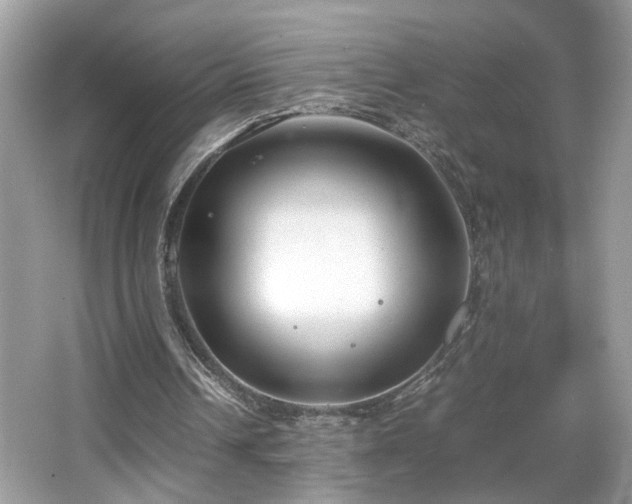 X0000065960242200603061158