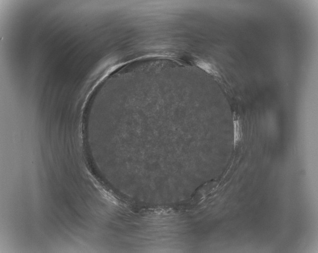X0000065960243200603061158