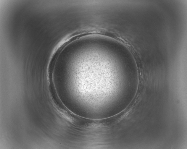 X0000065960246200603061158