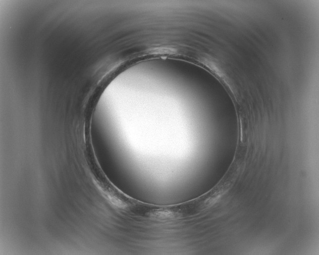 X0000065960253200603061158