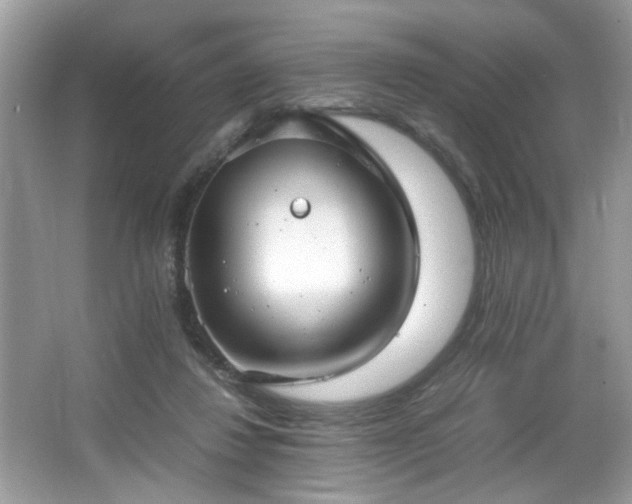 X0000065960260200603061158