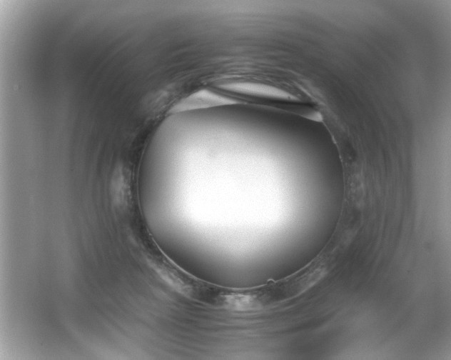 X0000065960265200603061158