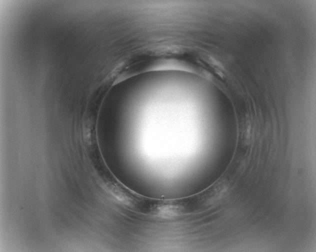 X0000065960268200603061158