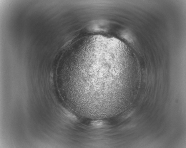 X0000065960269200603061158