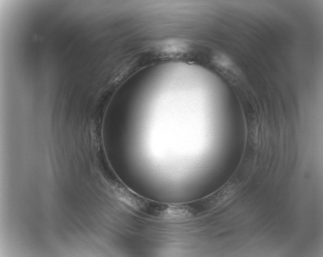 X0000065960270200603061158