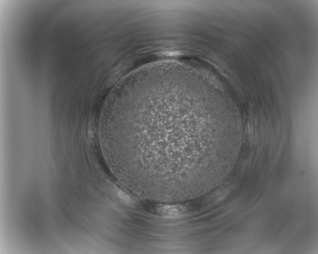 X0000065960277200603061158
