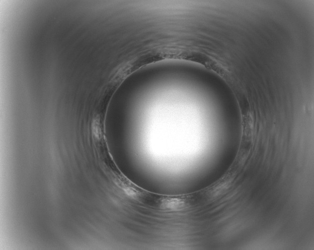 X0000065960287200603061158