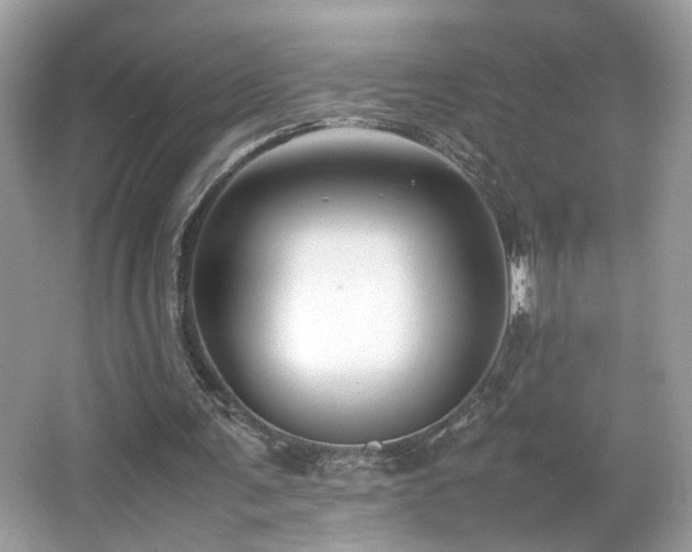 X0000065960291200603061158