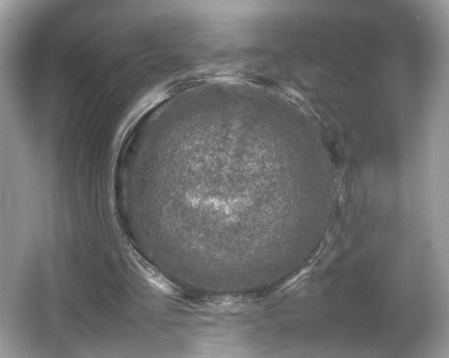 X0000065960293200603061158