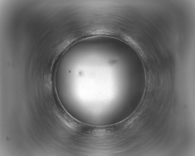 X0000065960298200603061157