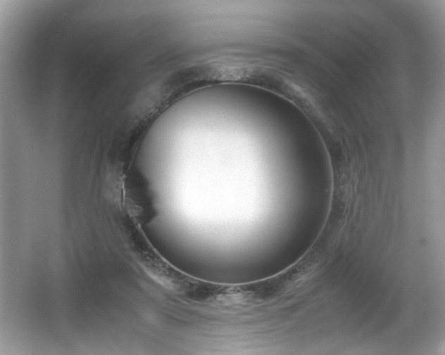 X0000065960307200603061157