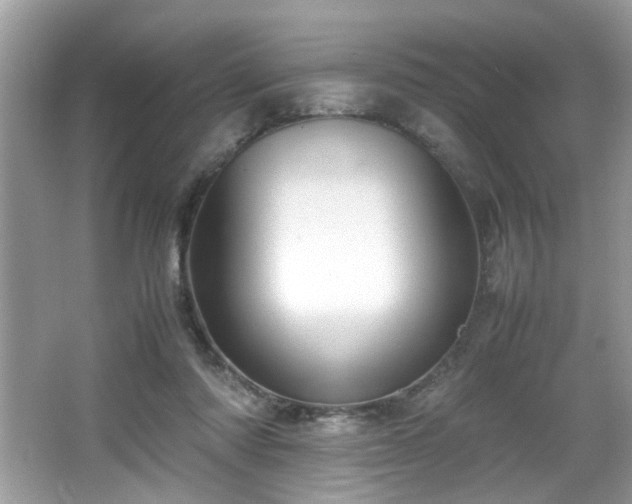 X0000065960310200603061157