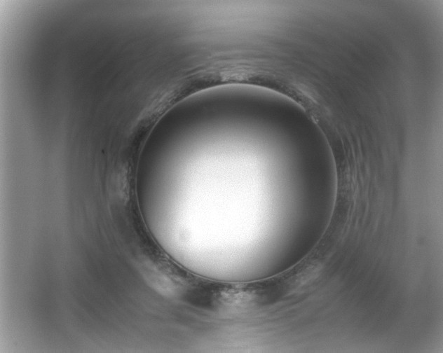X0000065960311200603061157