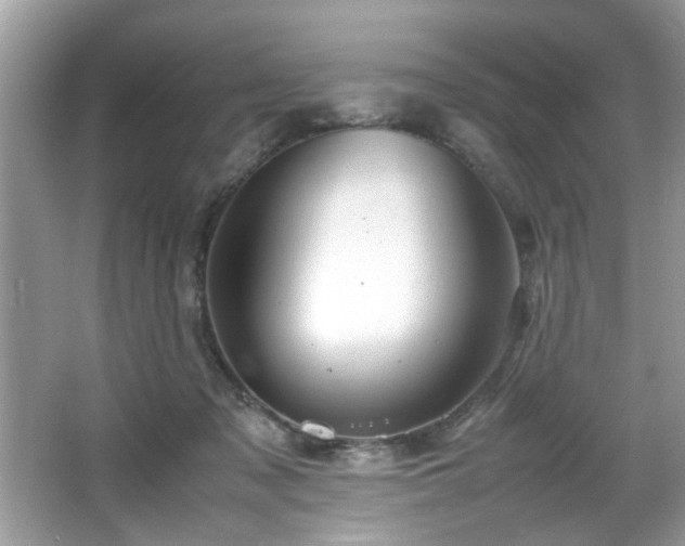 X0000065960317200603061157
