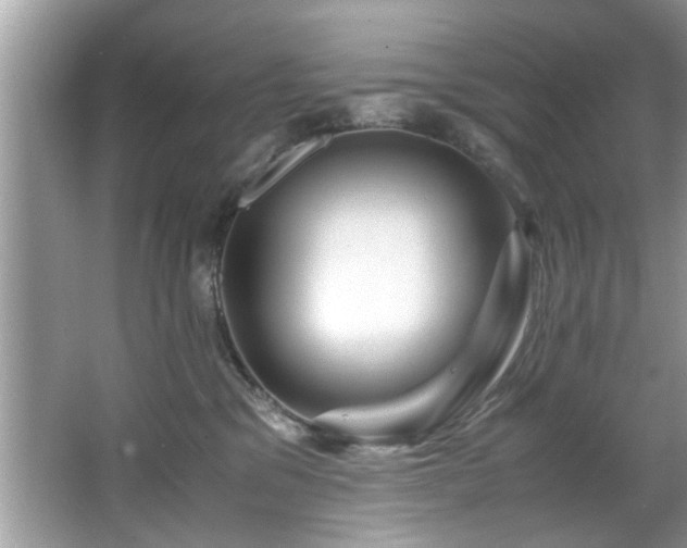 X0000065960329200603061157