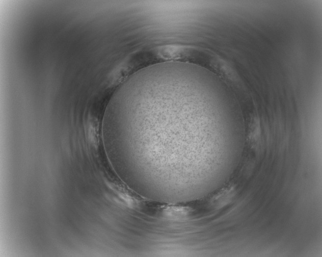 X0000065960332200603061157