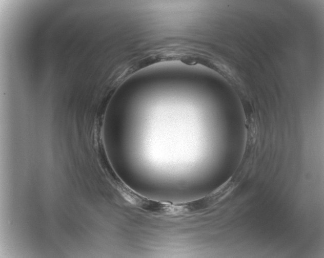 X0000065960333200603061157