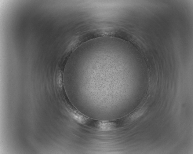 X0000065960336200603061157