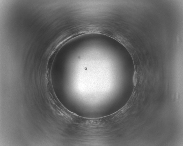 X0000065960338200603061156