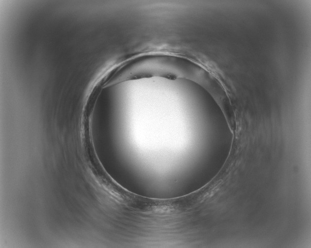 X0000065960344200603061156