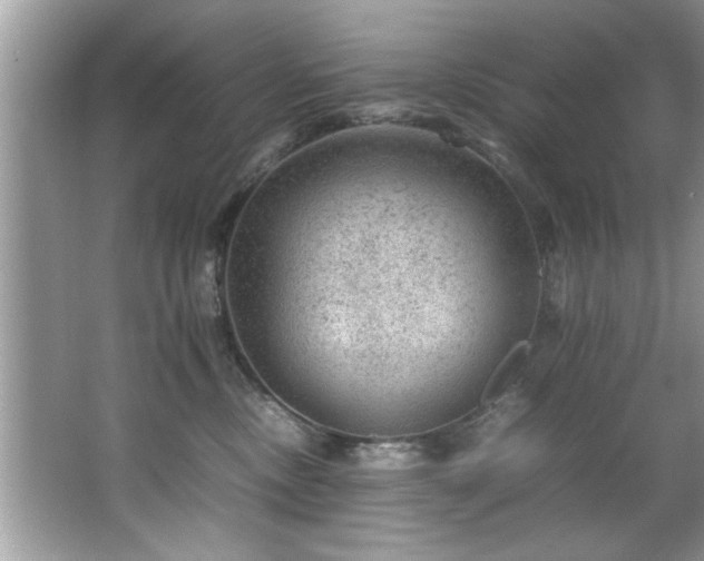 X0000065960378200603061157