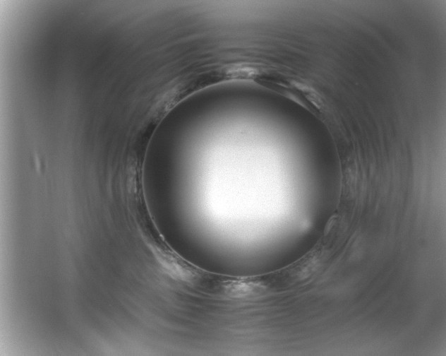 X0000065960379200603061157