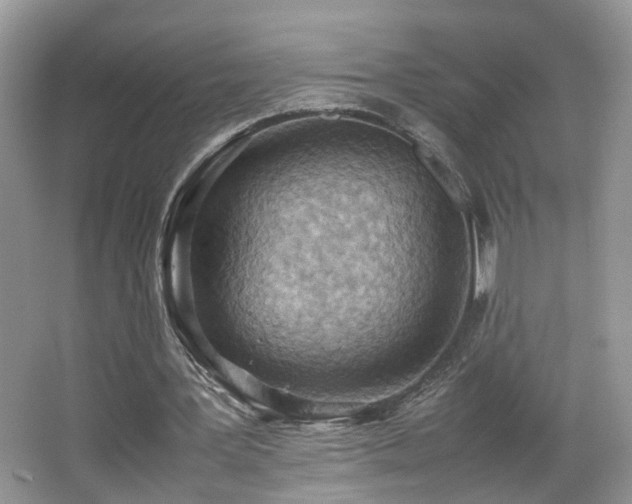X0000065960387200603061156