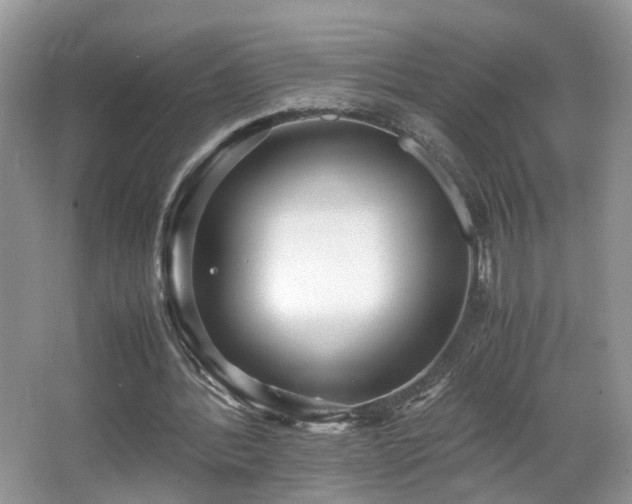 X0000065960388200603061156