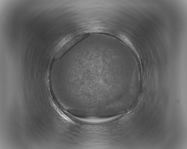 X0000065960389200603061156