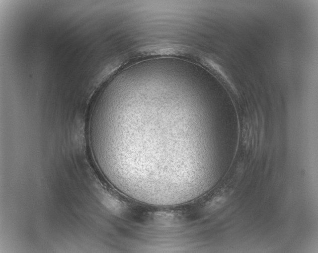 X0000065960394200603061156