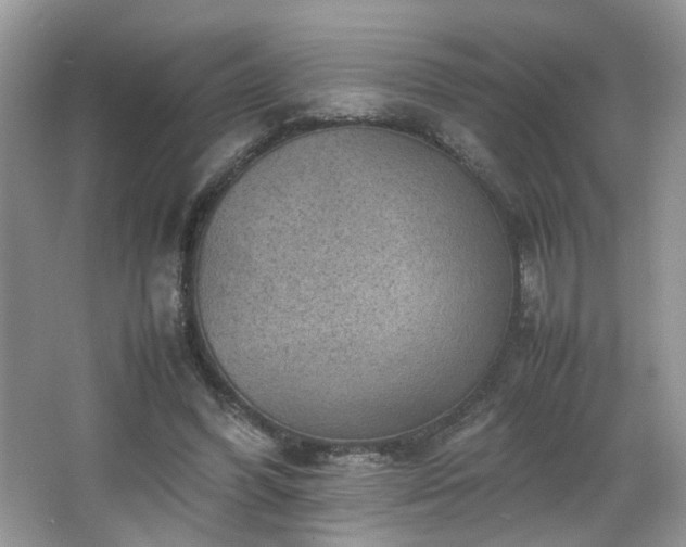 X0000065960396200603061156