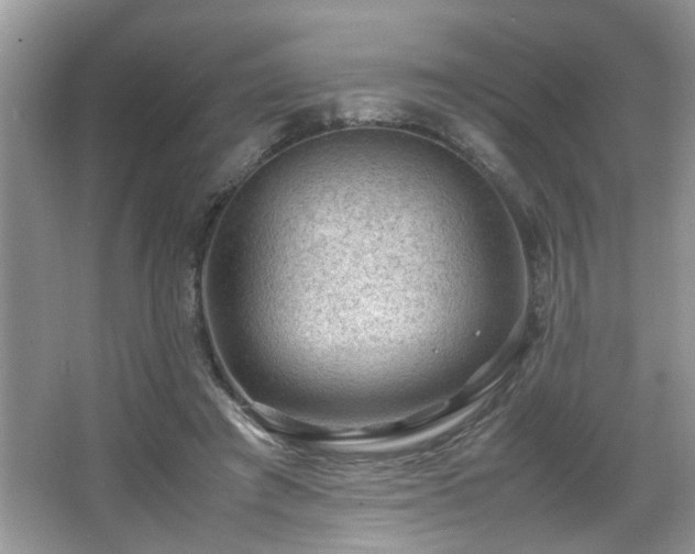 X0000065960401200603061156