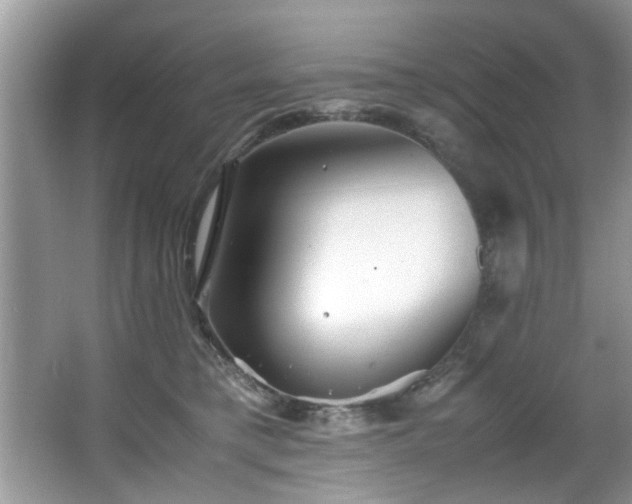 X0000065960421200603061155