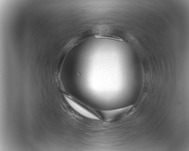 X0000065960429200603061155