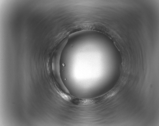 X0000065960432200603061155