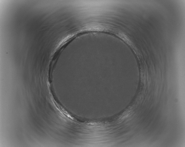 X0000065960434200603061154