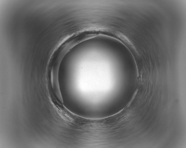 X0000065960436200603061154