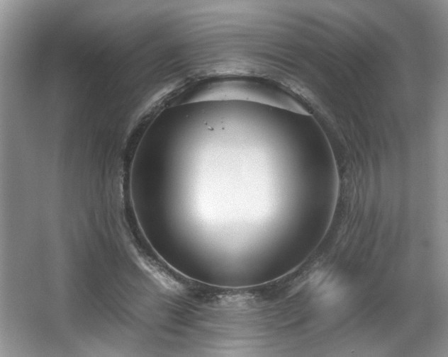 X0000065960446200603061155