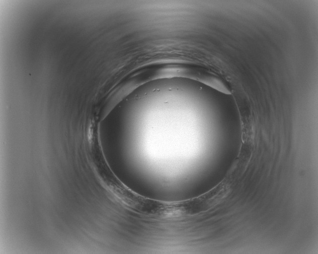 X0000065960456200603061155